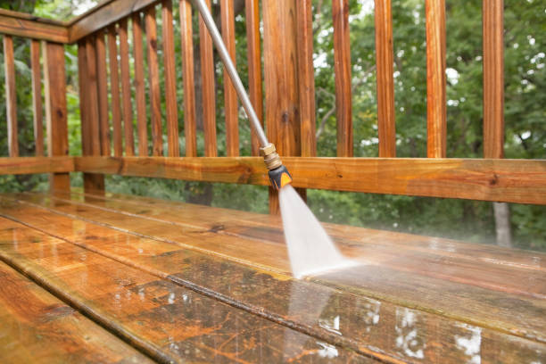 Best Fence Cleaning  in USA